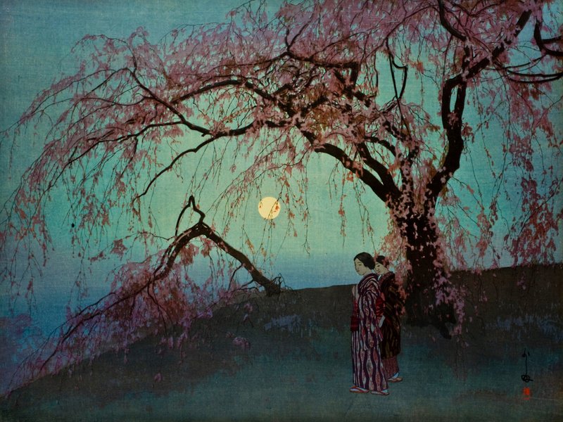 Hiroshi Yoshida - Kumoi-Zakura